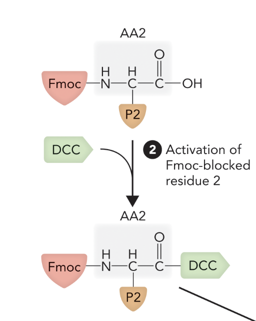 <p>Step 2&nbsp;</p>