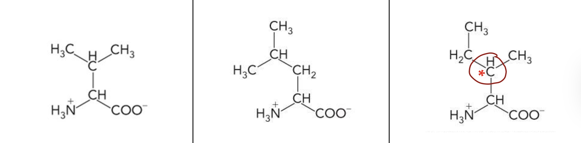 <p>What amino acid is this? 3-letter code? Characteristics? (Left to right name)</p>