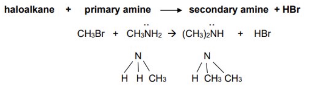 <p>the primary amine produced can also react with another haloalkane to produce a secondary amine </p><ul><li><p>haloalkane + primary amine → secondary amine + HX </p></li></ul>