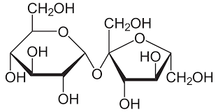 <p>made of glucose and fructose</p>