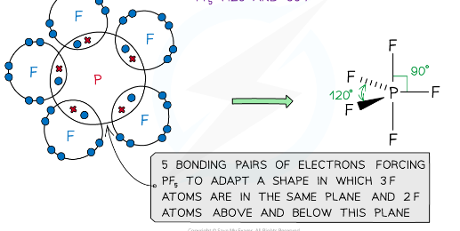 <p>example of a molecules with a trigonal bipyramid shape </p>