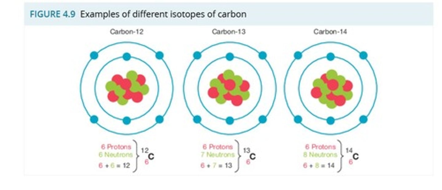 <p>Atoms of the same element with different numbers of neutrons.</p>