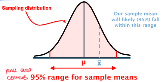 <p>95</p>
