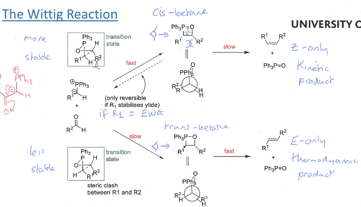 <p>R groups end up with opposite stereochemistry to what they have in the transition state</p><p>the reaction is controlled by the energies of the betane</p>