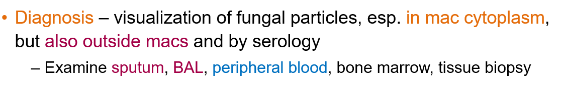 <ul><li><p class="">By visualizing <strong>fungal particles</strong>, especially <strong>inside macrophage cytoplasm</strong>, but also <strong>outside macrophages</strong></p></li><li><p class=""><strong>Serology</strong> can also help</p></li><li><p class="">Samples include <strong>sputum</strong>, <strong>BAL (bronchoalveolar lavage)</strong>, <strong>peripheral blood</strong>, <strong>bone marrow</strong>, or <strong>tissue biopsy</strong></p></li></ul><p></p>