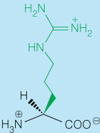 <p>3 Letter</p>