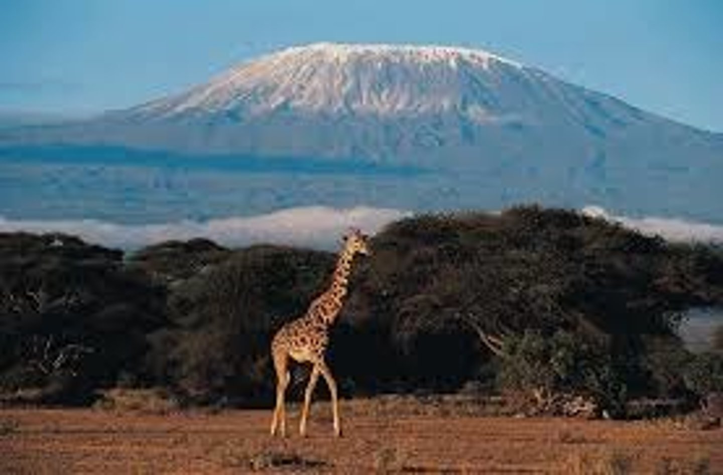 <p>Africa's highest mountain</p>