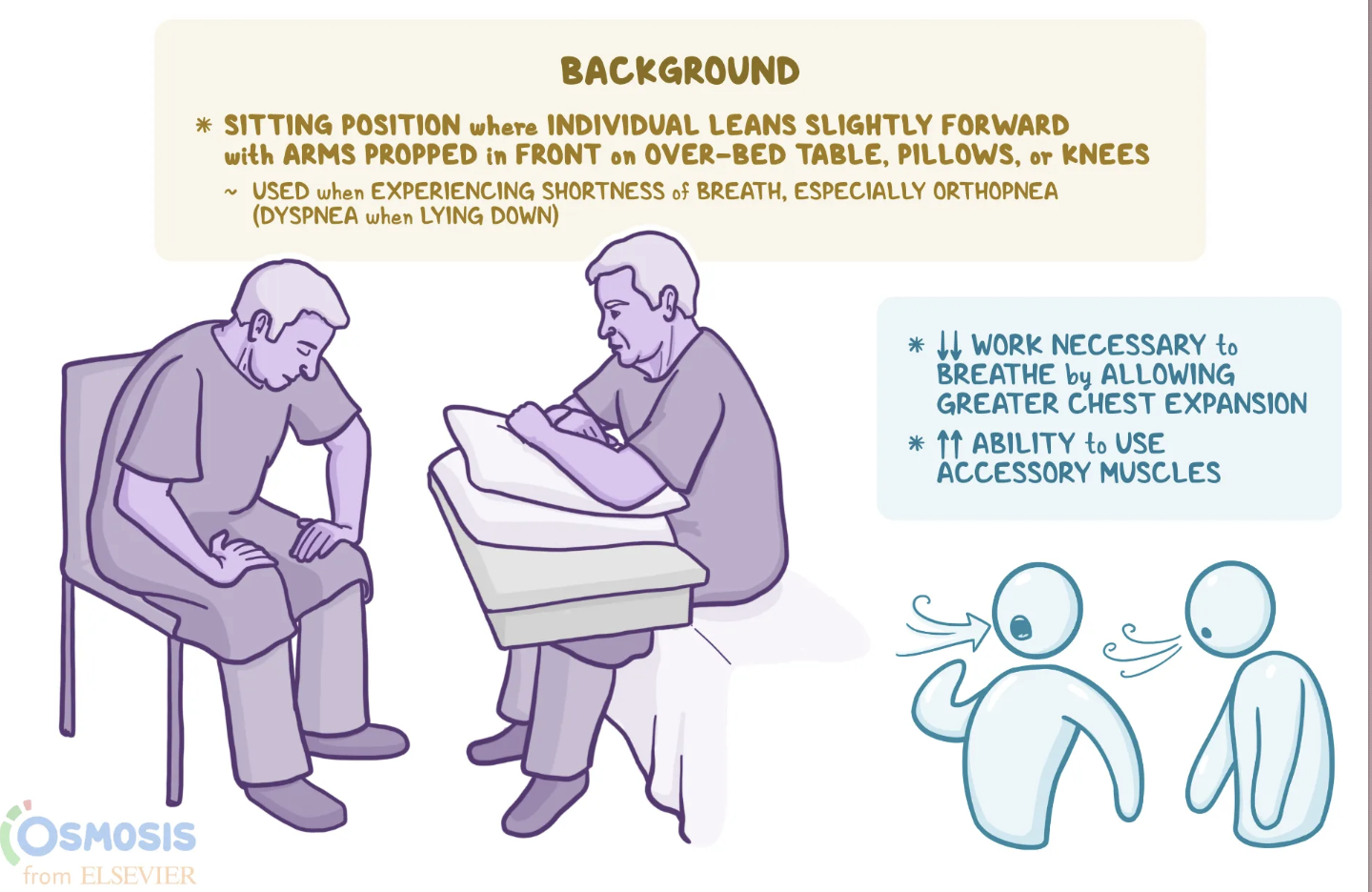 <p><span><span>Tripod Position</span></span><br>Leaning forward</p><ul><li><p>Uses <strong>accessory muscles</strong></p></li><li><p>Increases lung expansion</p></li><li><p>Decreases work of breathing</p></li></ul><p></p><p><span><span>Pursed-Lip Breathing</span></span></p><p><strong>Inhale through nose → Exhale slowly through puckered lips</strong></p><p>Helps by:</p><ul><li><p>Keeping airways open longer</p></li><li><p>Releasing trapped air</p></li><li><p>Slowing breathing</p></li><li><p>Improving gas exchange</p></li></ul><p>Often combined with <strong>tripod position</strong></p><p></p>