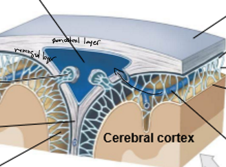 <p>Outside-inside</p>
