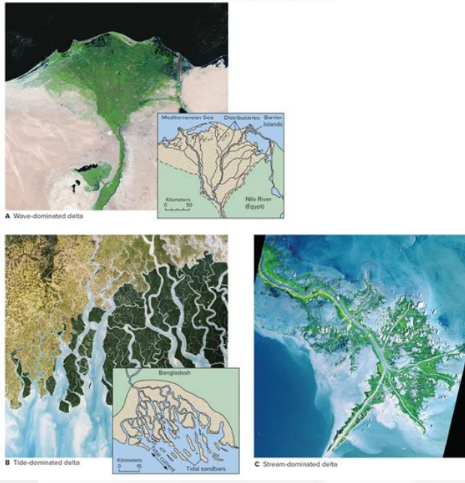 <p>body of sediment deposited at the mouth of a river when flow velocity </p><p>decreases</p>