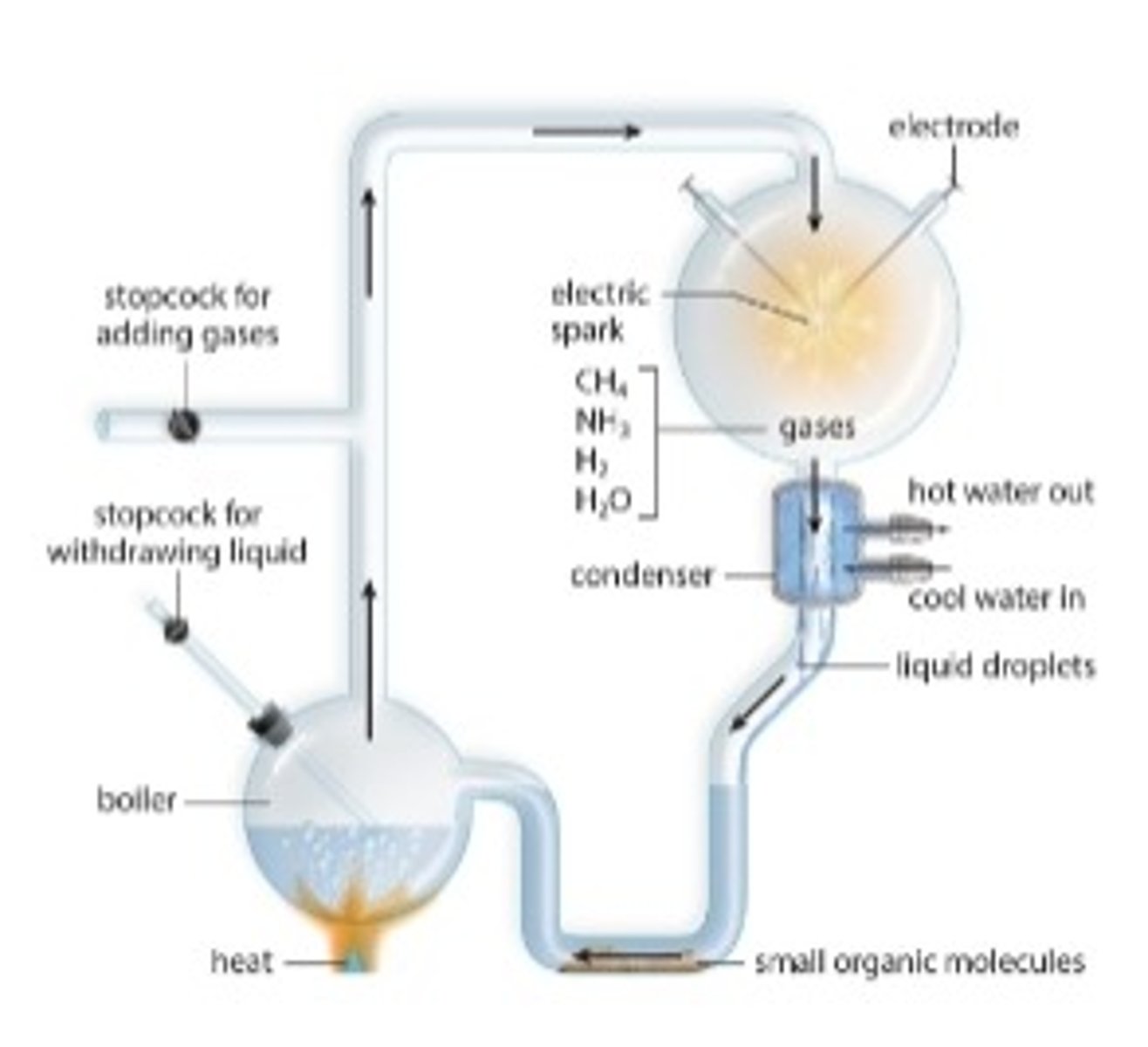 <p>simulated earth’s early atmospheric conditions to show how organic monomers could have formed naturally</p>