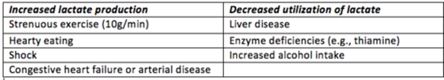 <p>Lactic acidosis is the elevation of lactate that affects the buffering capacity of the plasma (i.e., there is a fall in plasma pH due to accumulation of lactic acid).</p><p>Increased lactate can be due to increased lactate production during e.g., strenuous exercise (up to 10g/min), hearty eating, shock and congestive heart disease.</p><p>Increased lactate can also be due to decreased utilisation of lactate which occurs during e.g., liver disease, enzyme deficiencies (thiamine deficiency), and increased alcohol intake</p>