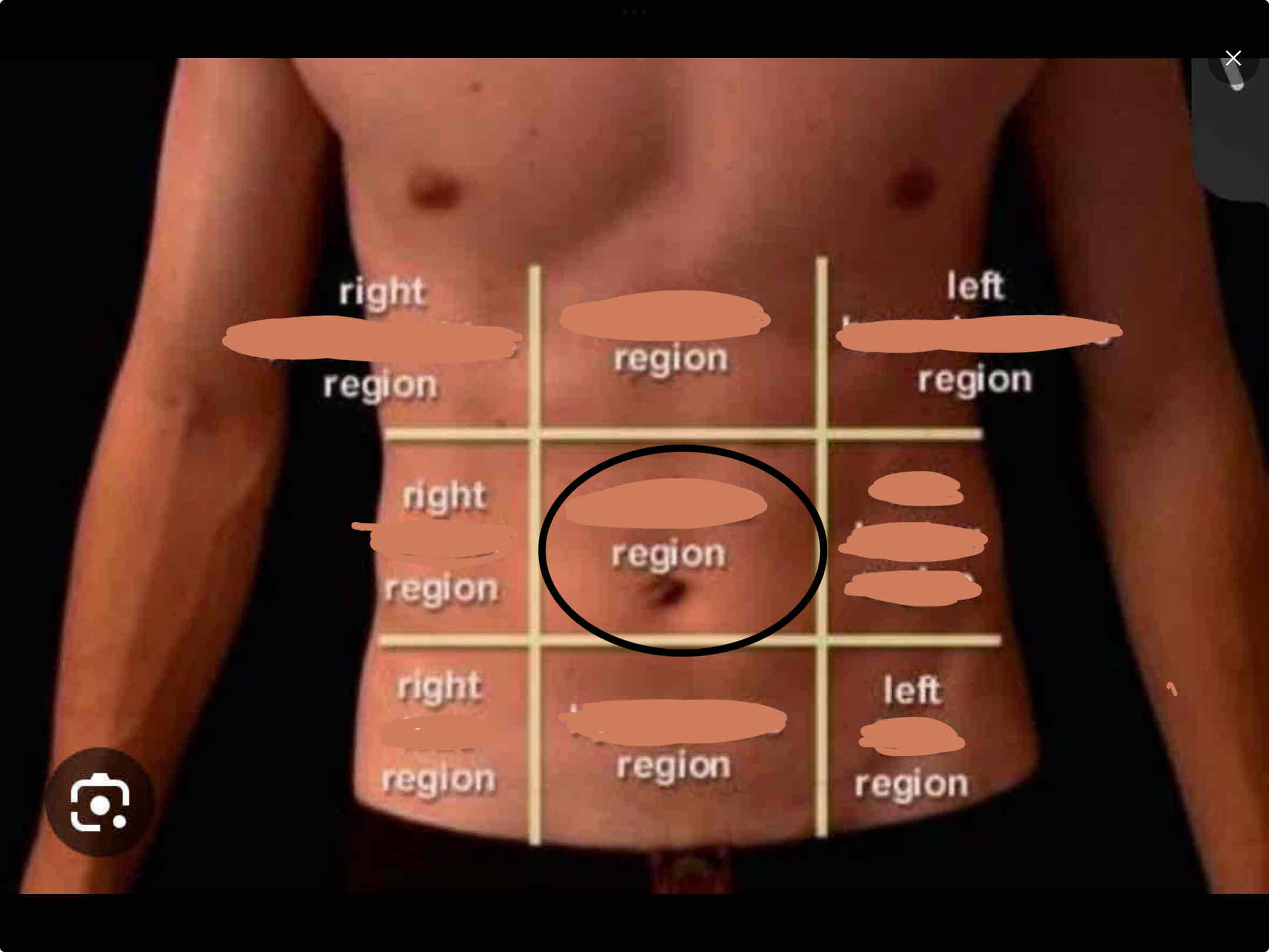 <p>an anterior region around the navel or belly button</p>