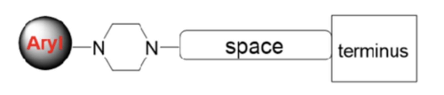 <p>- antagonize 5-HT2 (primarily 5-HT2A) to mediate its therapeutic benefits against anxiety and depression</p><p>- also weakly inhibit the reuptake of 5-HT</p><p>- effective drugs for depression and anxiety disorder and alcohol dependence</p><p>- efficacy may be more limited than that of SSRIs</p>