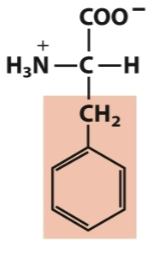 <p>Aromatic</p>