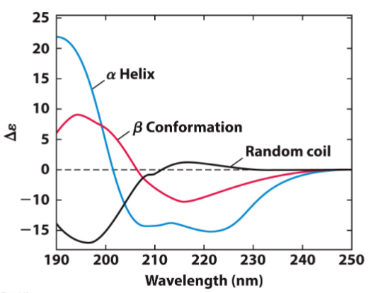 <ul><li><p>asymmetry of proteins results in diff (molar ellipticity) in absorption of left and right circularly polarized UV light</p></li><li><p>chiral alpha carbons and secondary structures preferentially absorb 1 direction of light over the other</p></li><li><p>protein folding and secondary structure content can be assessed based on observed spectra:</p><ul><li><p><strong><u>alpha helix:</u></strong> 222nm and 208nm (negative), 195nm (positive)</p></li><li><p><strong><u>beta sheet:</u></strong> 217nm (negative)</p></li><li><p><strong><u>Random coil:</u></strong> 198nm (negative)</p></li></ul></li><li><p>Studies <strong><u>proteins in solution</u></strong> to stimulate cell environment</p></li></ul>