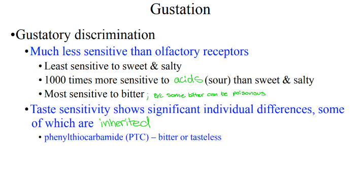 <p>In terms of gustatory discrimination, which flavors are we least sensitive to? What about the most? </p>
