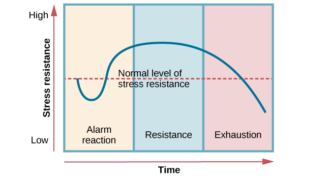 <p>General adaption syndrome</p>