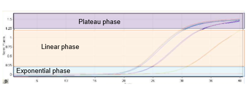 <ul><li><p>DNA detected with fluorescent probe </p></li><li><p>PCR reaction is exponential → a detection threshold (Cycle threshold  = CT) is set (higher starting amount = sooner reaches detection threshold) </p></li><li><p>can calculate the amount of DNA in samples compared to a control </p><ul><li><p>calculate relative expression and normalise it </p><ul><li><p>CT increase of 1 = increase by 50% as sample is doubled each cycle </p></li></ul></li></ul></li><li><p>two types: SYBRGreen and Taqman </p></li></ul><p></p>