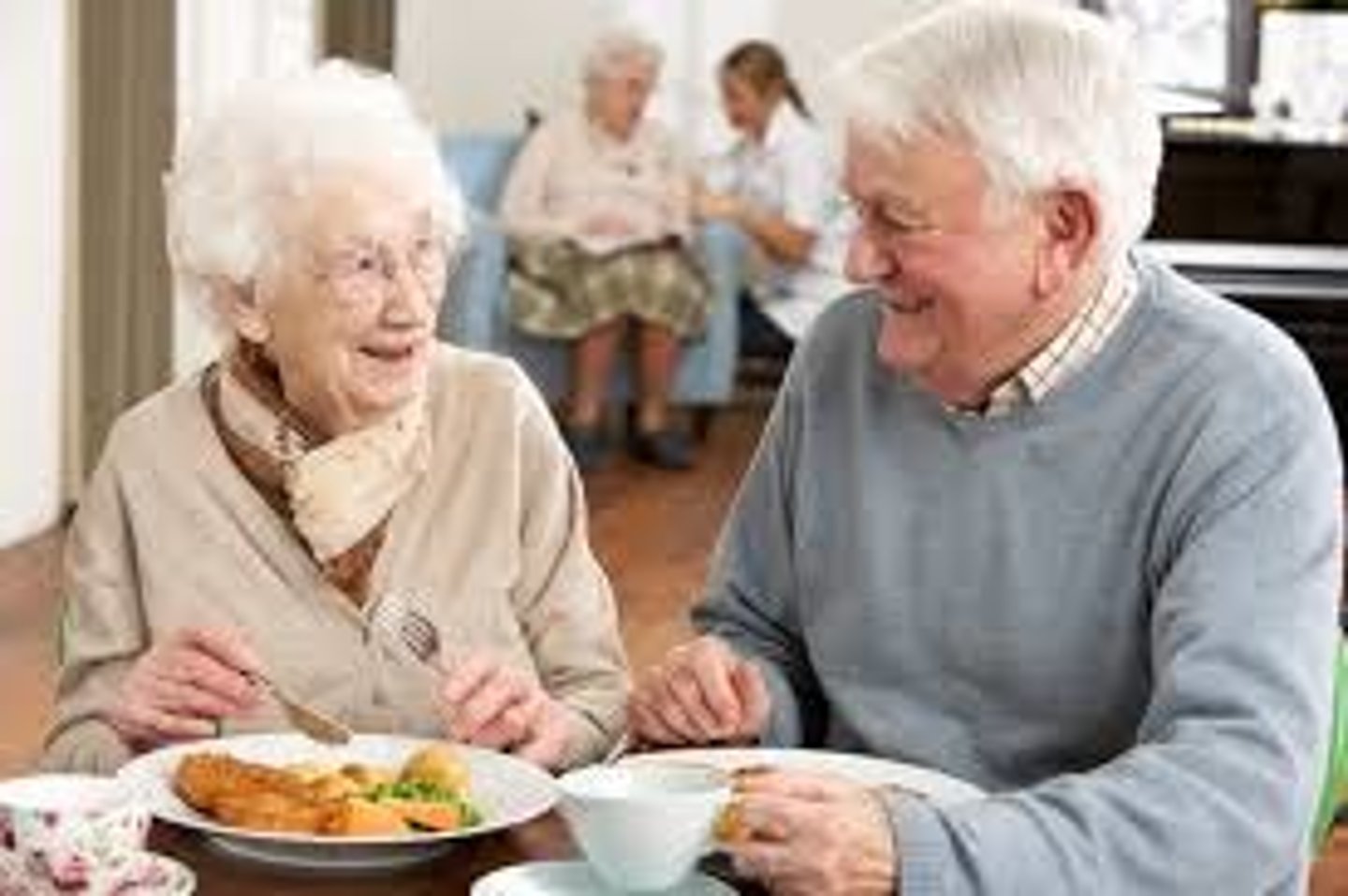 <p>home for the elderly</p>