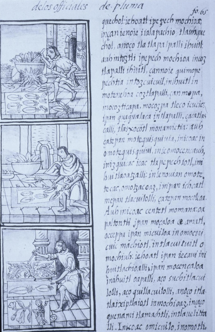 <ul><li><p>Sahagun would travel around</p></li><li><p>Interacted with converts who grew up during conversion, used them to talk to those who were alive during conquest</p></li><li><p>This piece depicts someone making feather crafts (a painting entirely made out of feathers, but looks like a painting!)</p></li></ul><p></p>