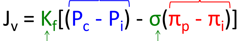 <p>Jv = Kf [(Pc - Pi ) - σ(πp - πi )]</p>