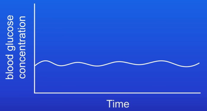 <p>A person does not have meal for long time.</p><p>Explain the result of the graph. [3 marks]</p>