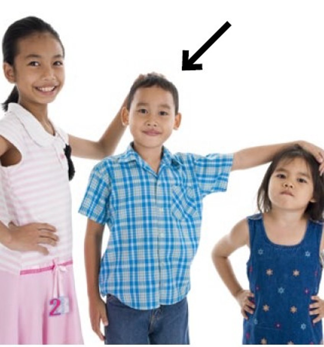 <p>middle child</p>