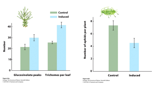 Consider the figure, which shows how Virginia pepperweed responds to herbivores. Which of the following conclusions can we make solely using the data shown?

I. Plants increased glucosinolate production when aphids were present.
II. Plants with more glucosinate and trichomes had fewer aphids.
III. Producing glucosinate and trichomes reduced plant fitness when aphids were absent.