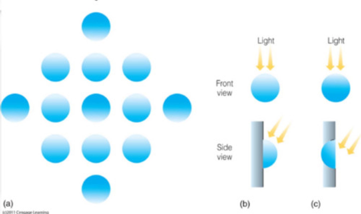 <p>Light in natural environment comes from above us.</p>