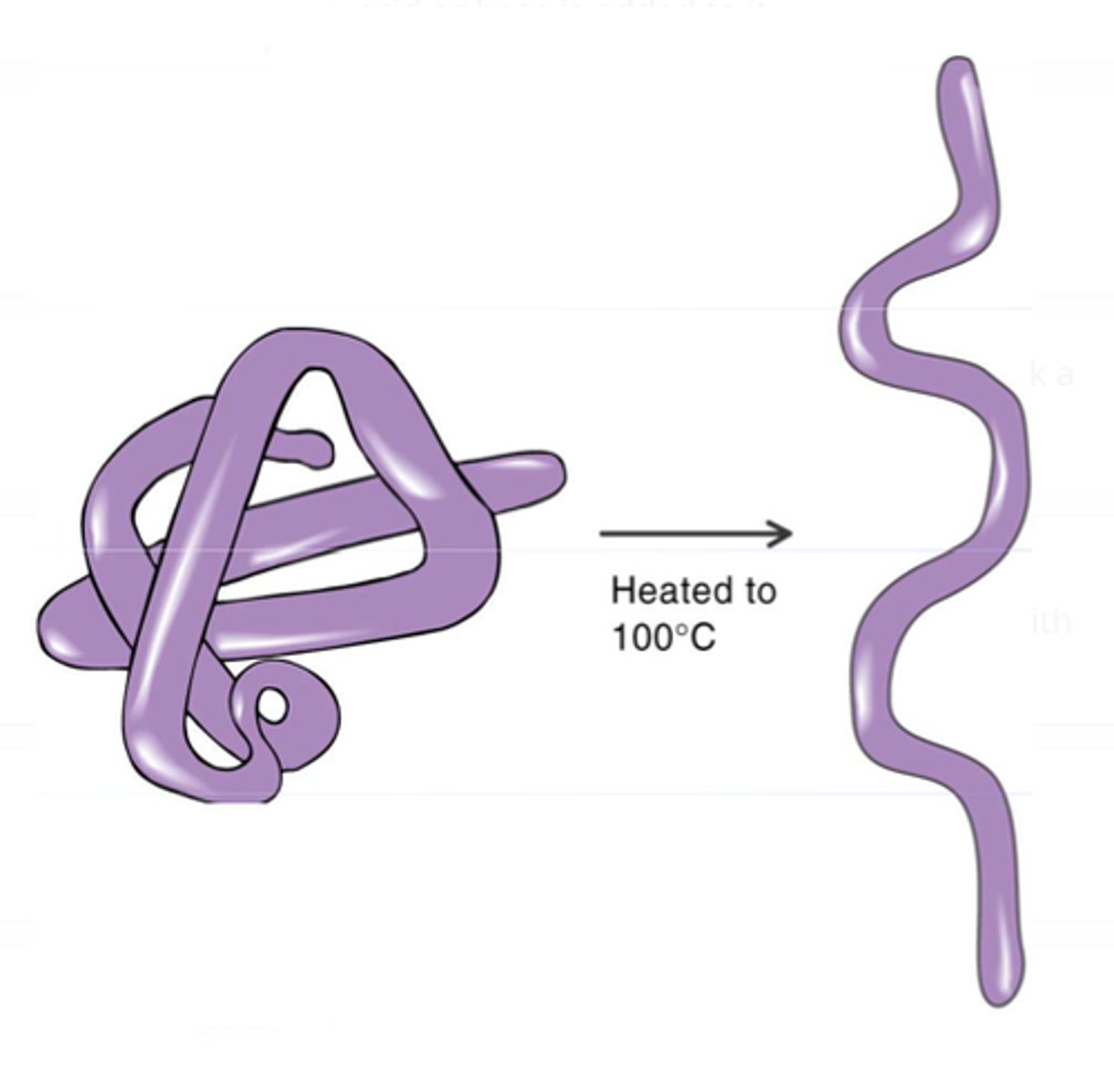 <p>Change the shape of an enzyme so that it can no longer speed up a reaction.</p>