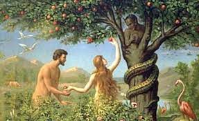 <p>biblical reference to adam &amp; eve + presents macbeth as feminine contrasting with his masculine mindset of ambition later on in the play</p>