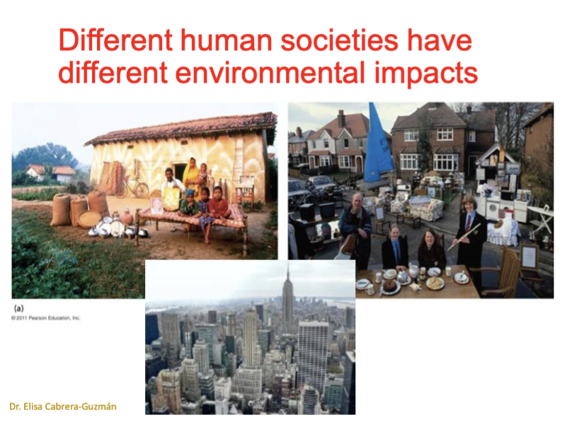 <p>Different human societies have different environmentl impacts due to&nbsp;</p>