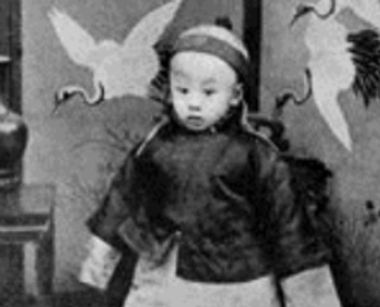 <p>The last Emperor of Qing Dynasty, deposed in 1912.</p>