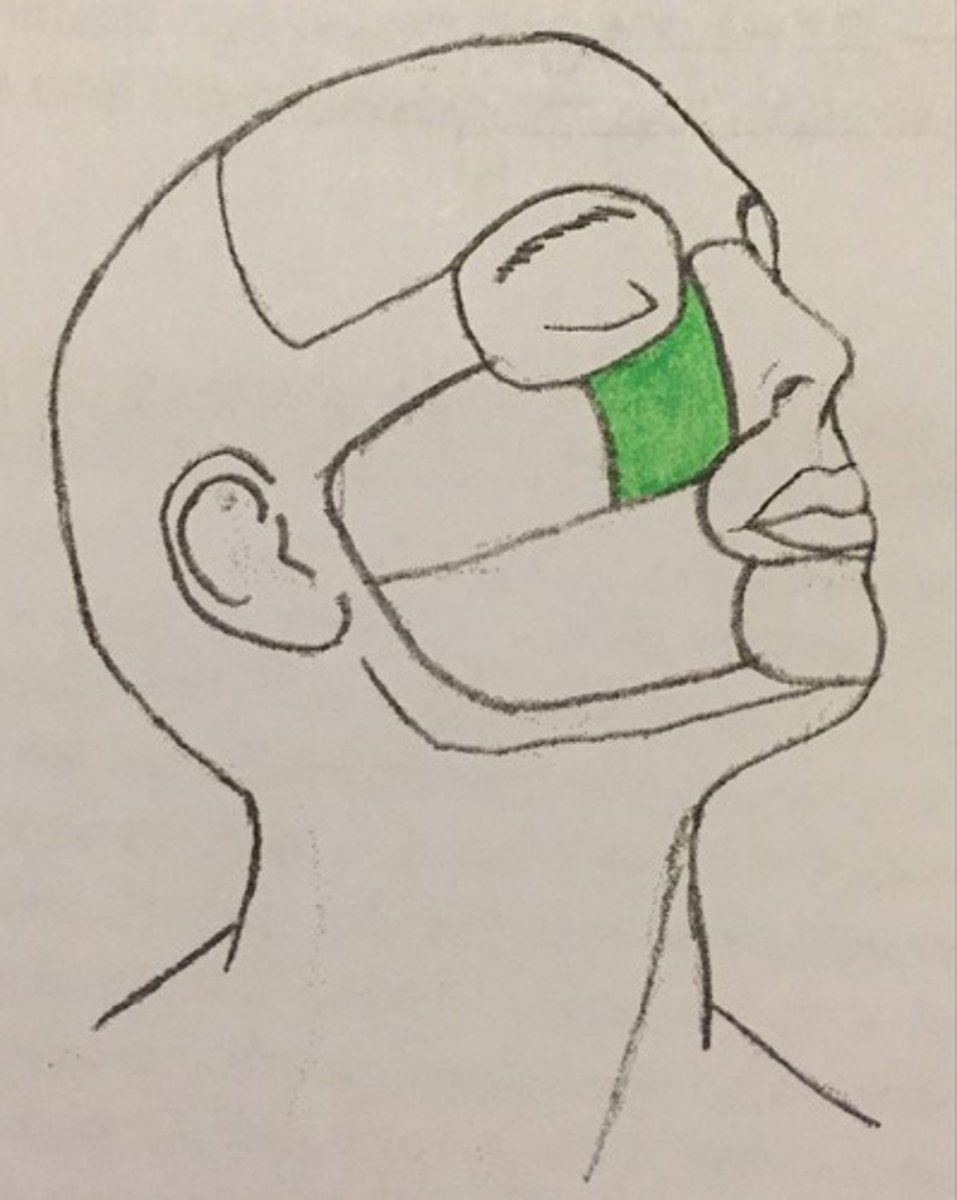 <p>What is shown on the image?</p>