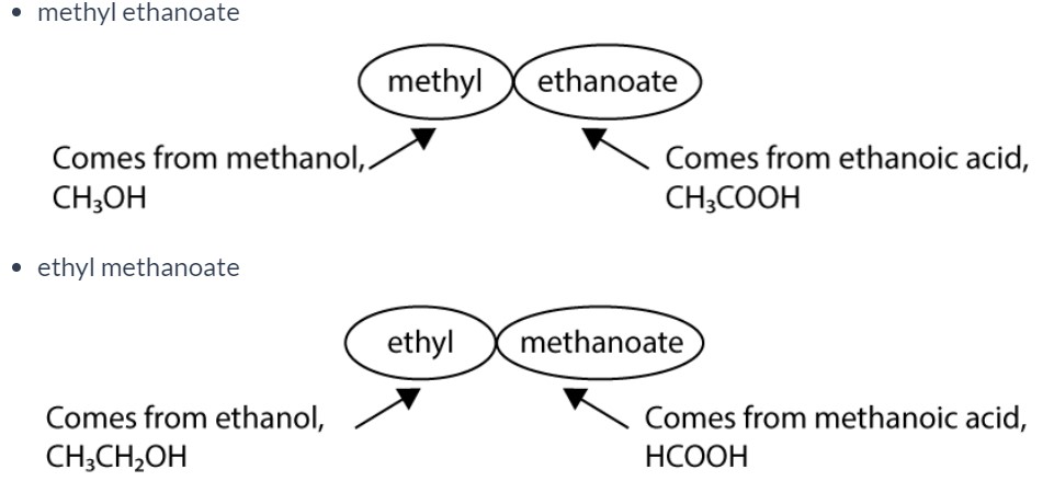 <p><span>The name of an ester is derived from the names of the two reactants from which it formed. The first part of the name always relates to the alcohol and the second part of the name relates to the carboxylic acid.</span></p>