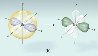 <p>Like any two electron domains, the hybrid orbitals on Be are 180° apart.</p>