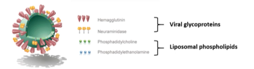 <p>what are hybrid systems?</p>
