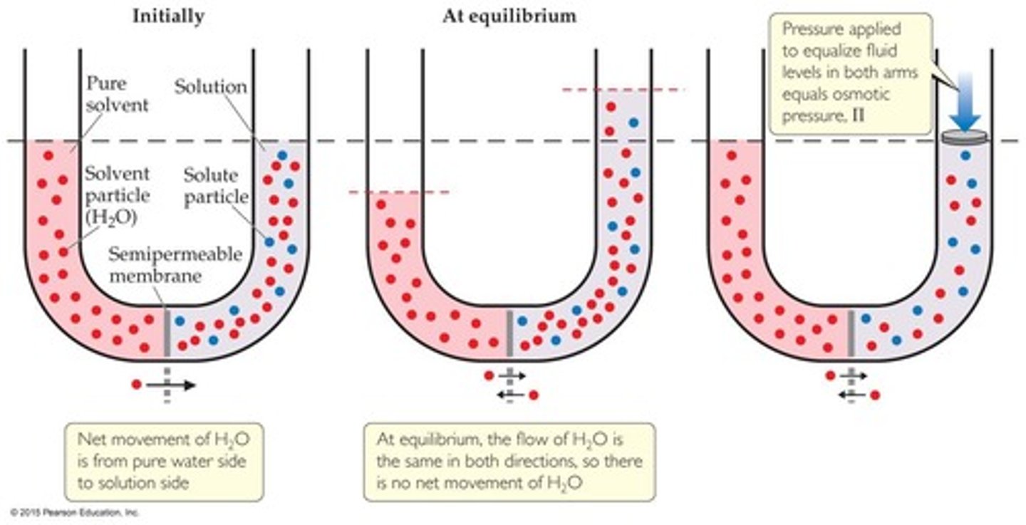 <p>Across a semipermeable barrier, solvent will move from low to high concentration.</p>
