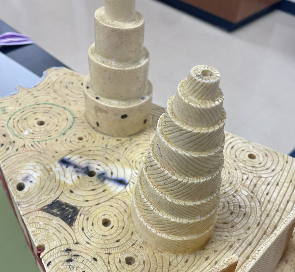 <p>Name the Canal (Holes on Top) ?</p>