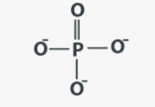 <p>Found in <strong>DNA / ATP</strong></p><ul><li><p>Remember to have constant at the beginning (C with 3 H bonds)</p></li></ul><p></p>