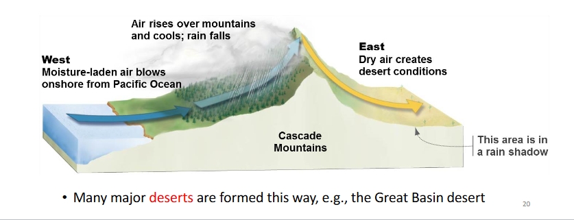 <ul><li><p>from the <strong>west </strong>side of the mountain, moisture-laden air blows onshore from Pacific Ocean</p></li></ul><ul><li><p>then, air rises over mountains and cools; rain falls</p></li><li><p>on the <strong>east </strong>side, dry air creates desert conditions (in rain shadow)</p></li><li><p>major deserts formed like this (Great Basin Desert)</p></li></ul><p></p>