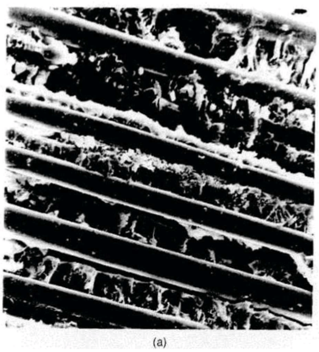 <p>poorly bonded: __________ surface of the fibers indicated failure of the matrix to tightly bond to the fiber</p>
