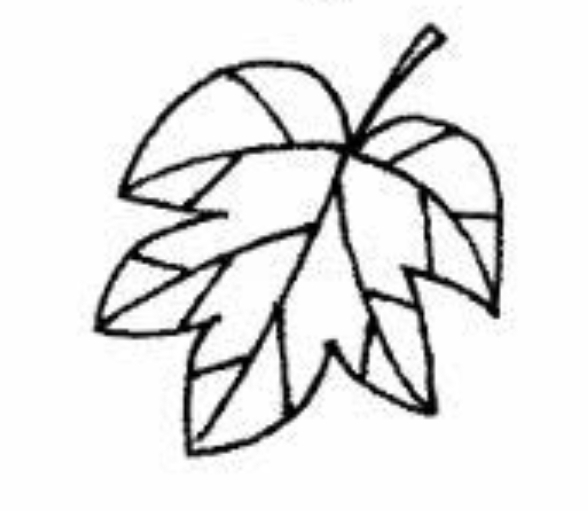 <p>cai la´</p>