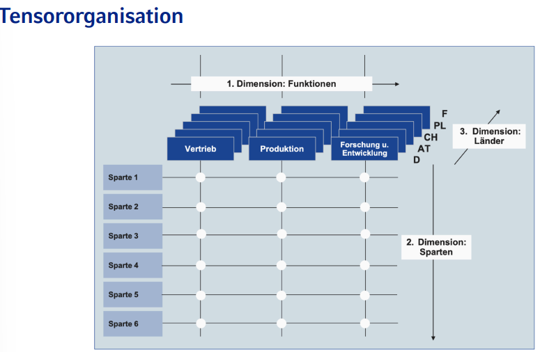 <p>Division nach 3 Dimensionen (die Kombination von jeder, die ihre eigene Subgruppe dann hat): </p><ol><li><p>Dimension: Funktion (z.B. Vertrieb, Produktion, Forschung und Entwickelung</p></li><li><p>Dimension: Sparten (Einfach verschiedene Kategorein</p></li><li><p>Dimension: Länder</p></li></ol><p>Dezentralizierter Verlauf zwischen Ländern und Gruppen (eine Deutsche Gruppe, und eine Schweizerische Gruppe, die genau das gleiche Produkt/die gleiche Tätigkeit haben, können komplett separat entscheiden und funktionieren</p>