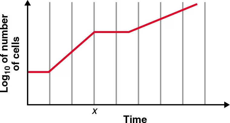 <p>E. coli was incubated with aeration in a nutrient medium containing two carbon sources, and the following growth curve was made from this culture.</p><ol><li><p>Explain what happened at the time marked x<em>.</em></p></li></ol><p></p>