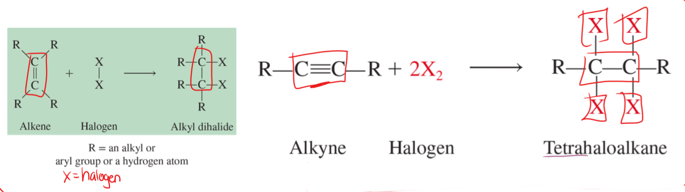 <p>the addition of halogen atoms to a double or triple bond</p><ul><li><p>H2, Cl, I, F, Br</p></li></ul>