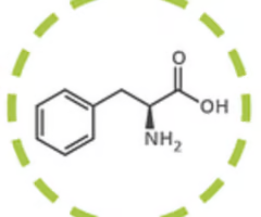 <p>phenylalanine (phe, f)</p>