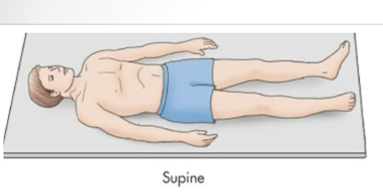 <p>Laying flat on back</p>