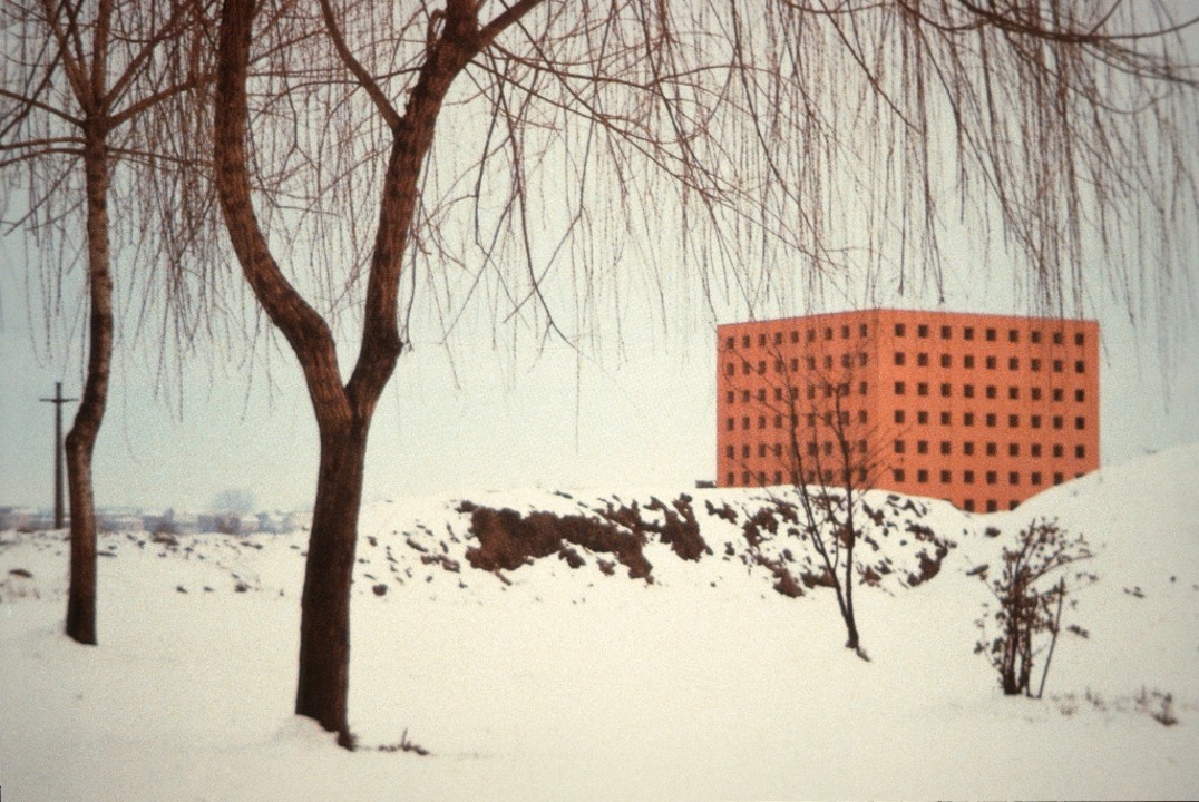 term image